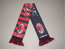 Fans Scarf